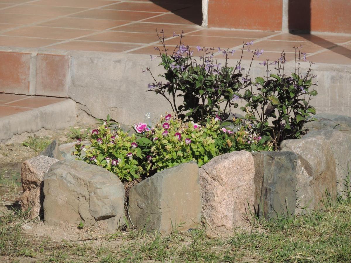 El Rancho De Manolo Hotel Molinos Ngoại thất bức ảnh
